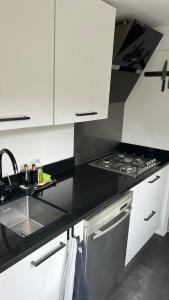 Large Family House Alkmaar