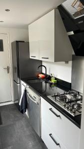 Large Family House Alkmaar