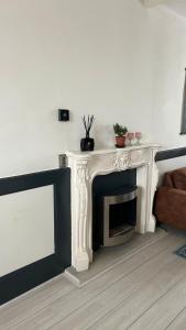 Large Family House Alkmaar