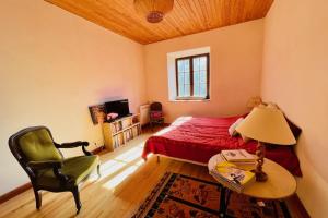 Large family nest with garden