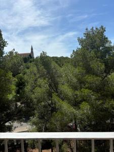 Nice apartment very bright