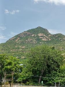 Narayaswamy home stay