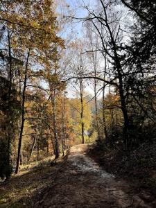 Ubytování v divočině