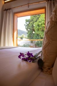 Moã Charme Hotel - Mucugê