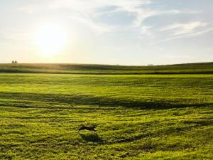 Allgäu Casa - 3hvězdičkové hotely ve městě Waltenhofen