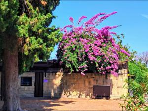 ELEGANTE VILLINO nel verde di Roma