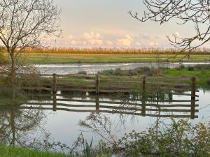 Maison du Marais Vendéen