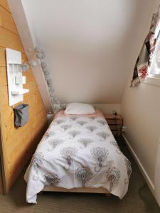 Appartements Duplex - Coeur de Station - Super Lioran : photos des chambres