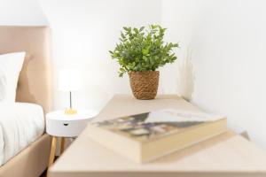 Apartamento Isabel Charmoso e bem localizado