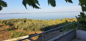 Coast Secluded House with Heated Pool