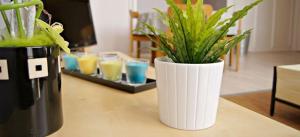 Appartements Superbe T2 Little St Maur - Malo : photos des chambres