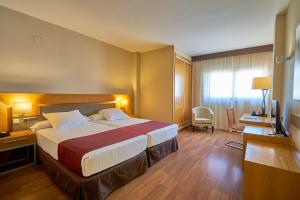 Double Room with Extra Bed room in Hotel Guadalmedina