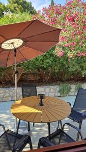 Studio among pines and beach