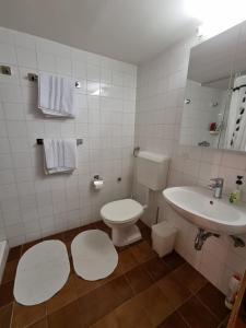 Studio among pines and beach