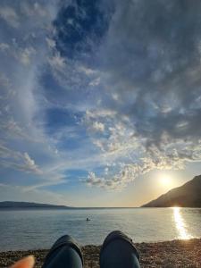 Studio among pines and beach