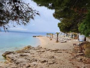 Studio among pines and beach