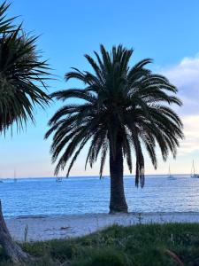 Appartements Il Piccolo - Cosy emplacement de reve : photos des chambres