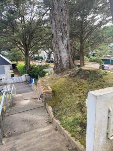 Appartements Charming T1 on the seafront : photos des chambres