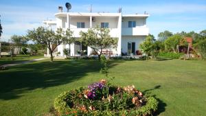 Luce di Sole Apartment