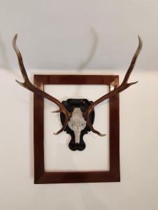 Das Bergnest Maishofen