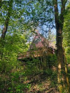 Villa Pimpelmees - Sunclass 54