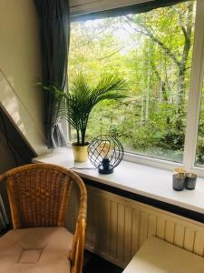 Villa Pimpelmees - Sunclass 54