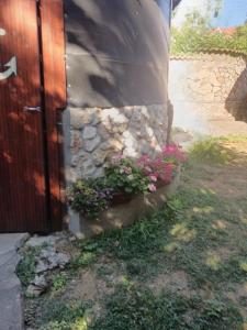 Andrada Garsoniera 2