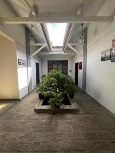 Ali Bungalow - Galle