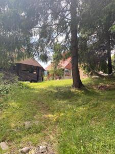 PENSIUNEA SIMONA ARIESENI