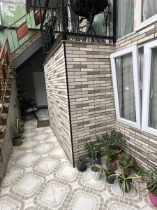 batumi, akhmed melashvili N24