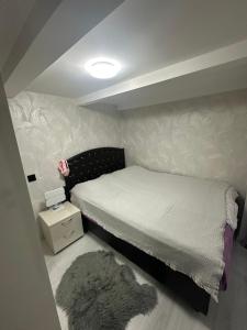 batumi, akhmed melashvili N24