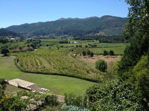 Casa dos Macieis - Entire Main House, Entire Guesthouse or Separate Wing of Main House - Camino Santiago direct access & Optional Agritourism