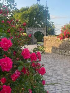 B&B / Chambres d'hotes Aux Remparts de Montreuil : photos des chambres