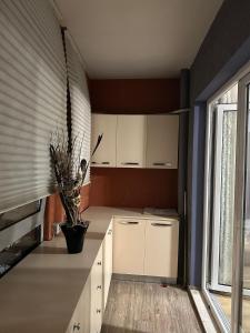 Modern 2BR Apartment with Living Room and Private garage