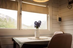 Lundur 2 Cozy Cabin in Hörgársveit