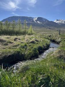 Lundur 2 Cozy Cabin in Hörgársveit