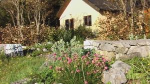 Seashore Cottage on Galway Bay