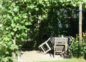 Vintage apartment with flair in Völkermarkt