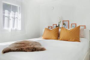 Luxurious Contemporary EkoHus 4Seasons