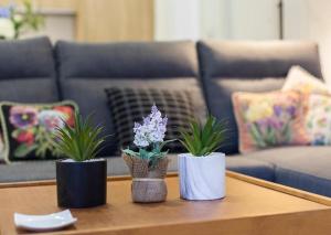 Allo Apartments Morenos VI