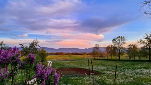 Kuća za odmor Mia u Lici