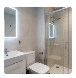 Luxury Seaview Apt in Dublin