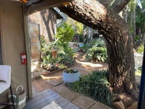 African Paradise - Garden Glamping - Outdoor Shower