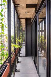 Argentina by Pardela - LOFT nuevo Colonia Americana