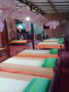Mk yala safari and guest house