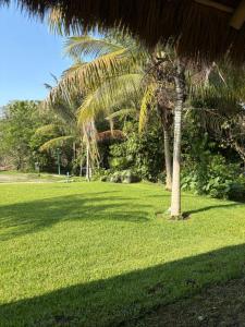 Cabañas la Granja Rincón de Guayabitos