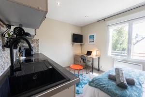 Studio Cosy La Fuye, proche gare, VELORA