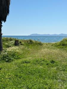 Campings Mobilhome Camping piscine Hyeres Plage : photos des chambres