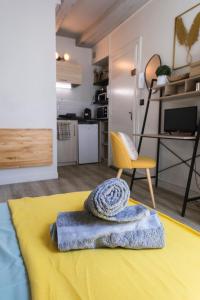 Studio Cosy Les 3 écritoires, hyper centre, wifi, VELORA