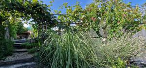 VILLA SALVIA - Holiday house with pool -